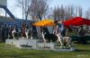 Nazwa pliku=Ch_Preeminent_Line_JUST_DANCE_-_28Sire_Ch__Pl__Wicani_ANIESH_ABOVE_AND_BEYOND_x_Dam_Ml__Ch__Pl__CRYSTAL_CLEAR_Des_Beldones29_-_II_BOG.jpg
Wielkość pliku=128KiB
Rozmiar=800x525
Data dodania= 30, Wrzesień 2013 Ch_Preeminent_Line_JUST_DANCE_-_28Sire_Ch__Pl__Wicani_ANIESH_ABOVE_AND_BEYOND_x_Dam_Ml__Ch__Pl__CRYSTAL_CLEAR_Des_Beldones29_-_II_BOG.jpg