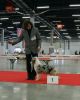 Nazwa pliku=LEGACY_S_SASSY_AND_CLASSY__-__Sassy___USA-CACIB_Show_in_Kielce_-___BEST_PUPPY_IN_BREED___-_1st_VERY_PROMISING2121.JPG
Wielkość pliku=36KiB
Rozmiar=407x505
Data dodania= 14, Listopad 2012 LEGACY_S_SASSY_AND_CLASSY__-__Sassy___USA-CACIB_Show_in_Kielce_-___BEST_PUPPY_IN_BREED___-_1st_VERY_PROMISING2121.JPG
