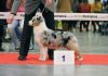 Nazwa pliku=LEGACY_S_SASSY_AND_CLASSY__-__Sassy___USA-CACIB_Show_in_Kielce_-___BEST_PUPPY_IN_BREED___-_1st_VERY_PROMISING_212121_Many_Thanks_to_the_judge_Mr_IUZA_BERADZE_28GEO29_212121.JPG
Wielkość pliku=33KiB
Rozmiar=640x448
Data dodania= 14, Listopad 2012 LEGACY_S_SASSY_AND_CLASSY__-__Sassy___USA-CACIB_Show_in_Kielce_-___BEST_PUPPY_IN_BREED___-_1st_VERY_PROMISING_212121_Many_Thanks_to_the_judge_Mr_IUZA_BERADZE_28GEO29_212121.JPG