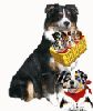 Nazwa pliku=Preeminent_Line_Puppies.gif
Wielkość pliku=115KiB
Rozmiar=106x125
Data dodania= 02, Sierpień 2008 Preeminent_Line_Puppies.gif