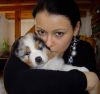 Nazwa pliku=Roxi____INDIANA_-__6_weeks_old____~1.JPG
Wielkość pliku=23KiB
Rozmiar=496x467
Data dodania= 27, Luty 2011 Roxi____INDIANA_-__6_weeks_old____~1.JPG