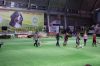 Nazwa pliku=__LEGACY_S_SASSY_AND_CLASSY__-__Sassy___USA-CACIB_Show_in_Kielce__BIS_competition__BEST_PUPPY__21212121.JPG
Wielkość pliku=84KiB
Rozmiar=689x459
Data dodania= 14, Listopad 2012 __LEGACY_S_SASSY_AND_CLASSY__-__Sassy___USA-CACIB_Show_in_Kielce__BIS_competition__BEST_PUPPY__21212121.JPG